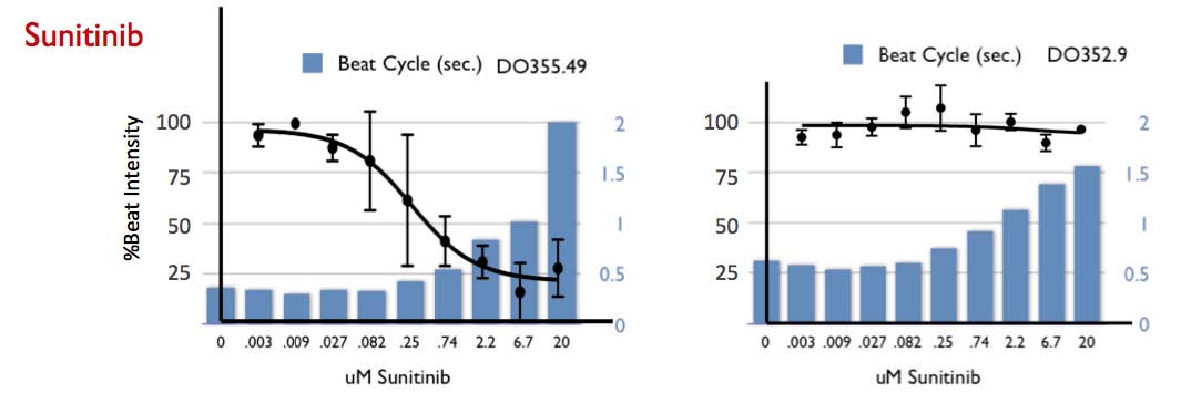 Sunitinib dose response across genetic backgrounds