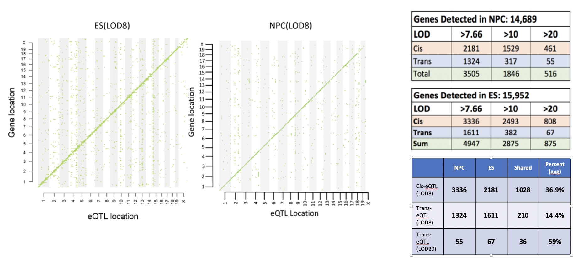 eQTLs in ES and NPC cell lines