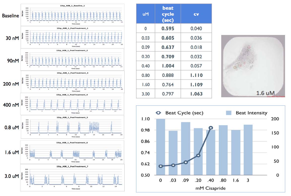 Cisapride dose response